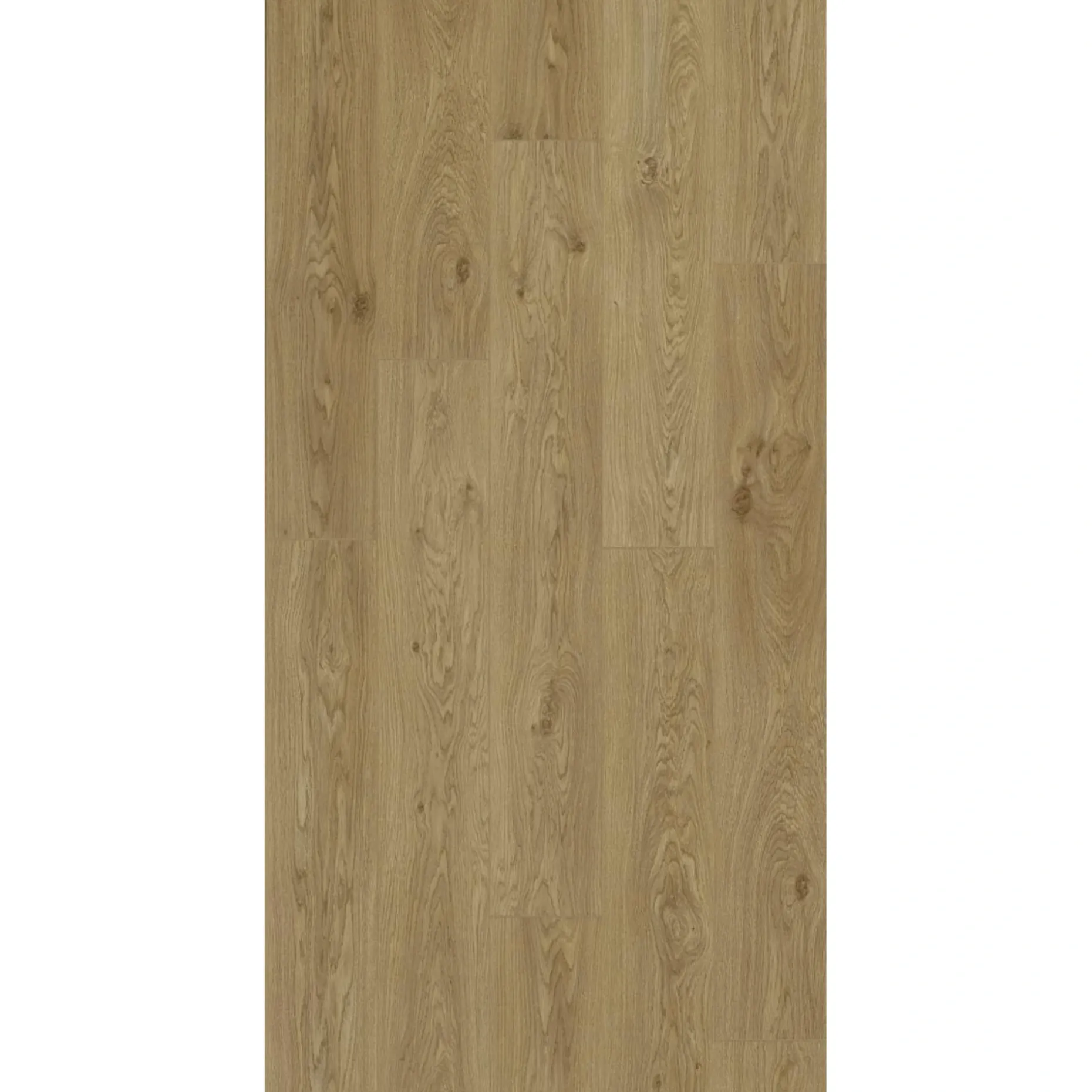 BERRYALLOC TRENDLINE LAMINATGULV DAISY OAK