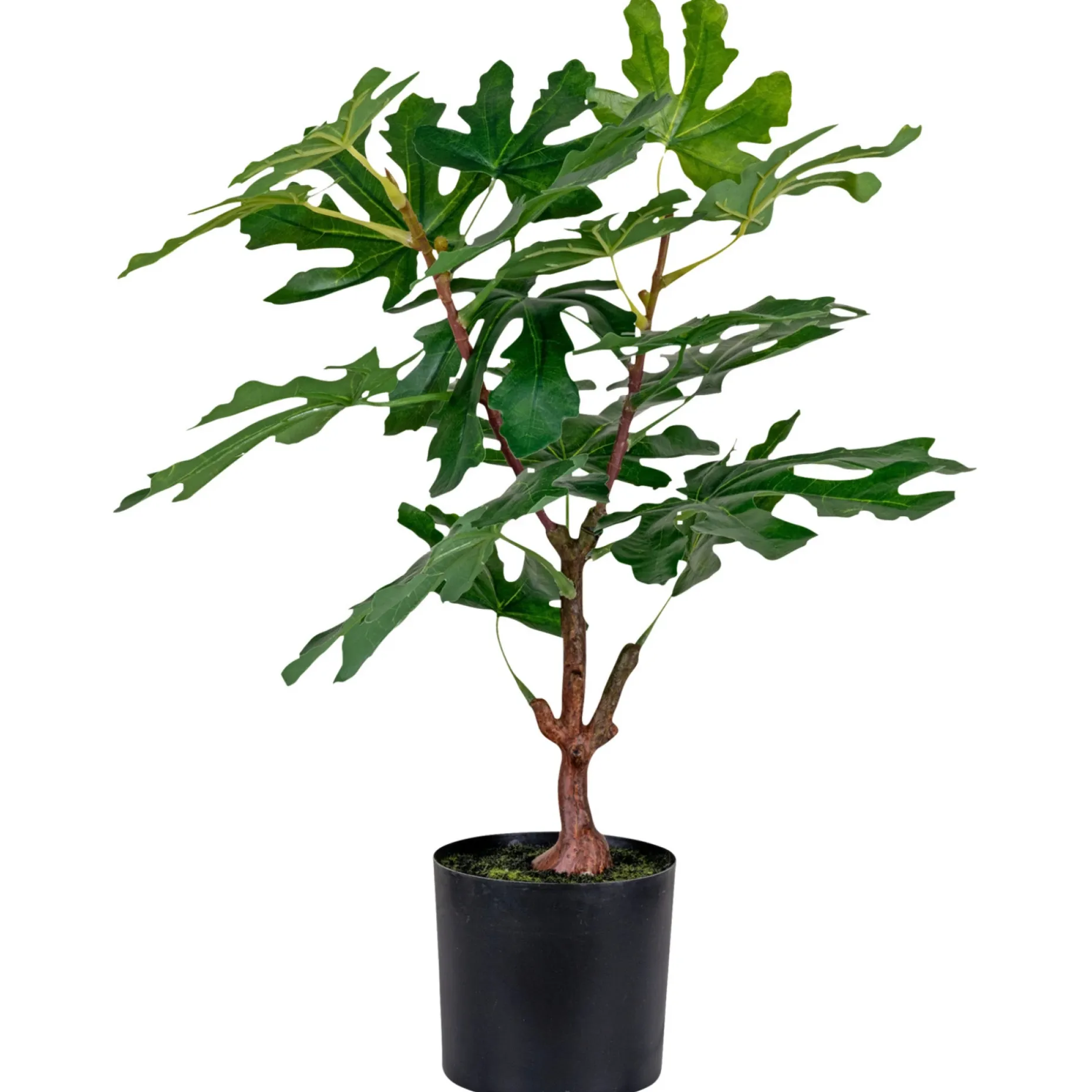 BOLIGINTERIØR FIGENTRÆ KUNSTIG PLANTE 53 CM