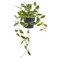 BOLIGINTERIØR VOKSBLOMST KUNSTIG PLANTE 33 CM
