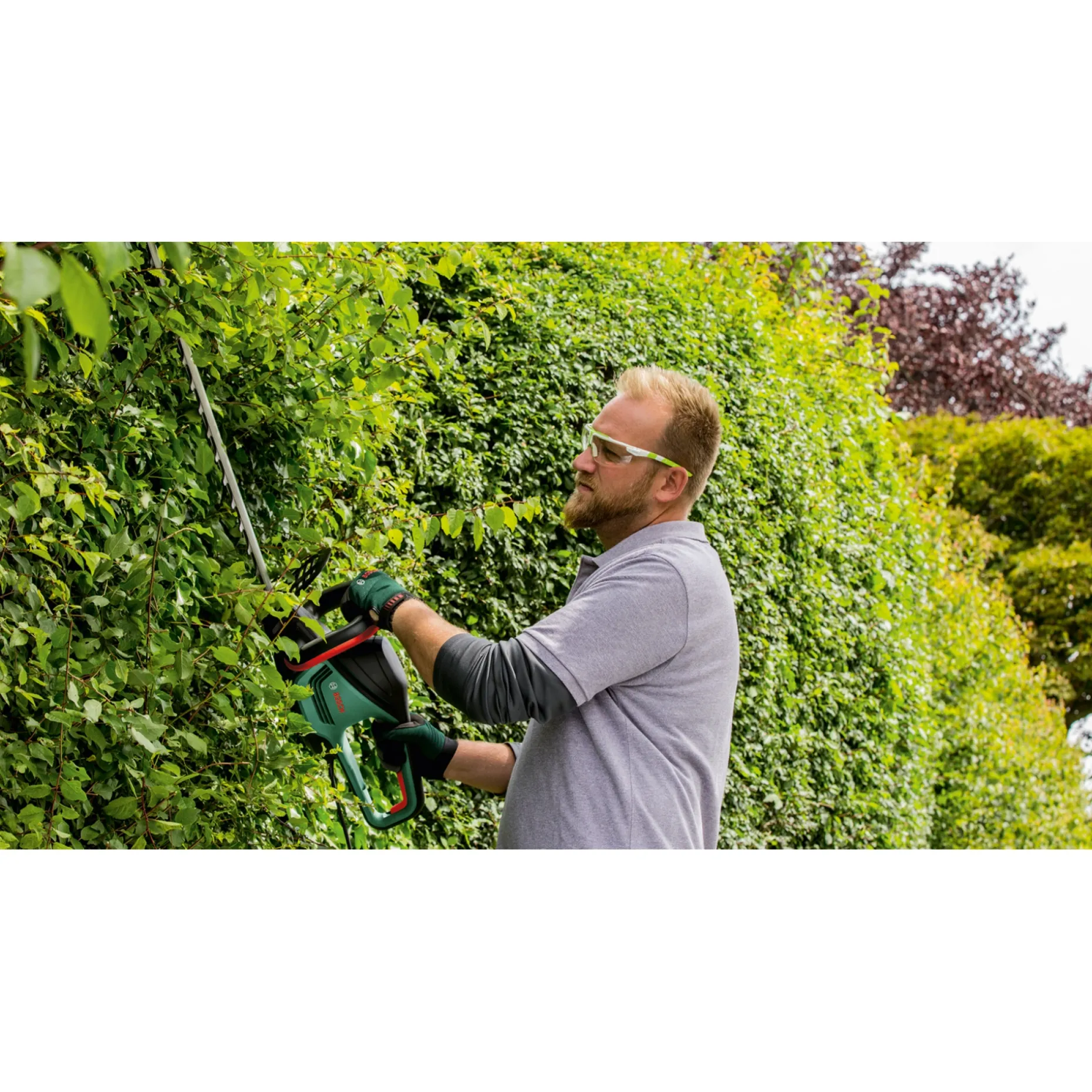 BOSCH ADVANCED 36V-65 SOLO HÆKKEKLIPPER 65,0 CM UDEN BATTERI OG LADER