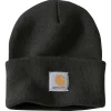 CARHARTT WATCH HAT/A18 HUE SORT OS