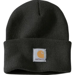 CARHARTT WATCH HAT/A18 HUE SORT OS