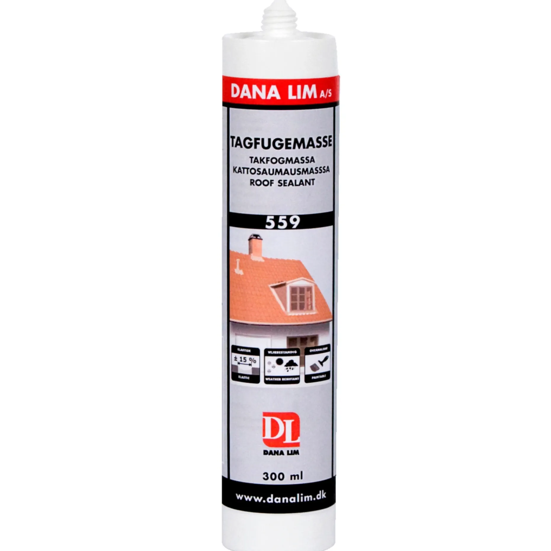 DANA LIM 559 TAGFUGEMASSE 300 ML SORT