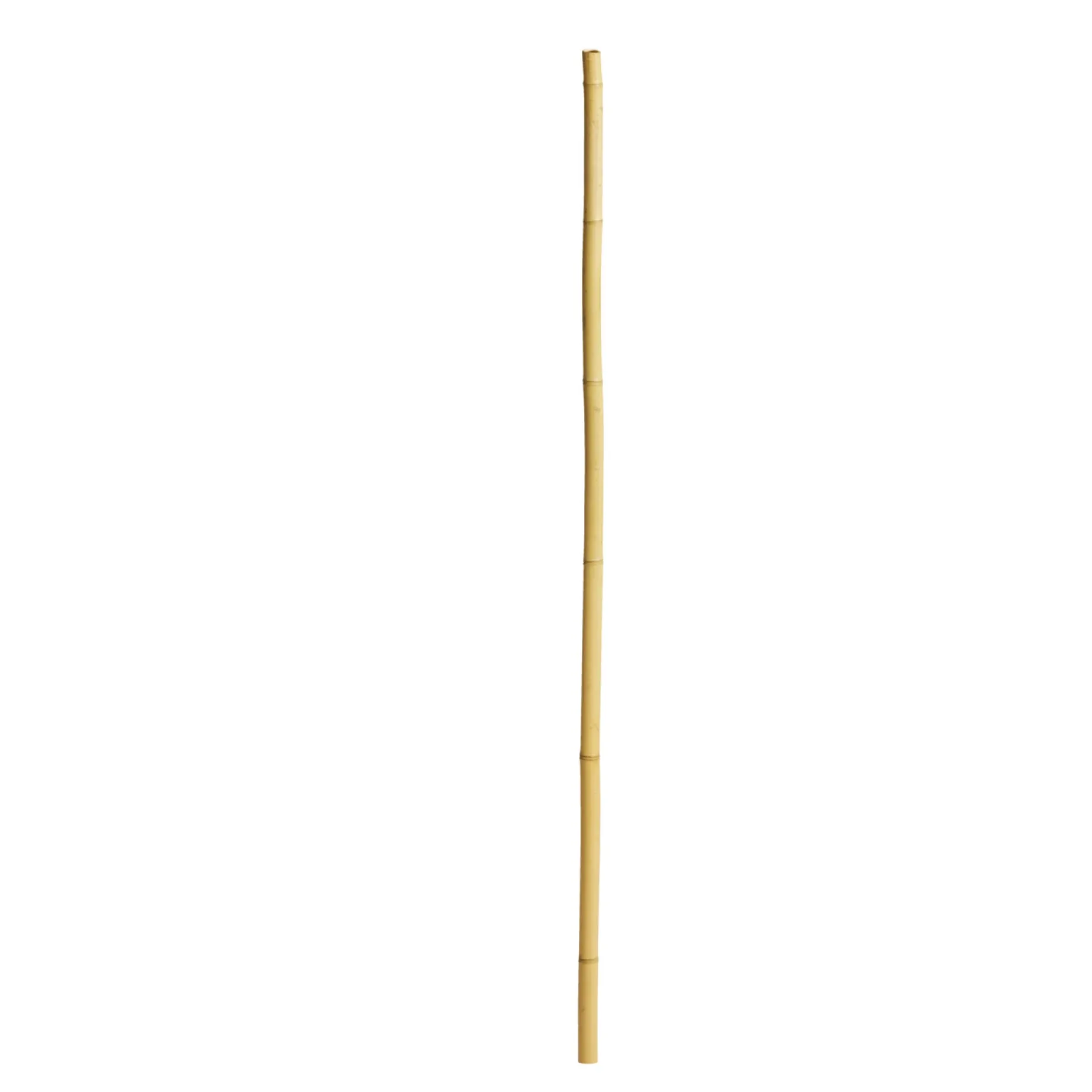 GREENHAND 1 STYK SNOBRØDSPINDE 1 STK