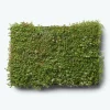 GROWTEK SEDUMBAKKE