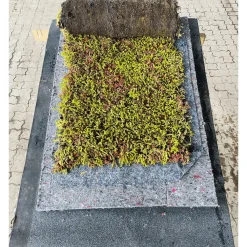 GROWTEK SEDUMMAX SEDUMMÅTTE