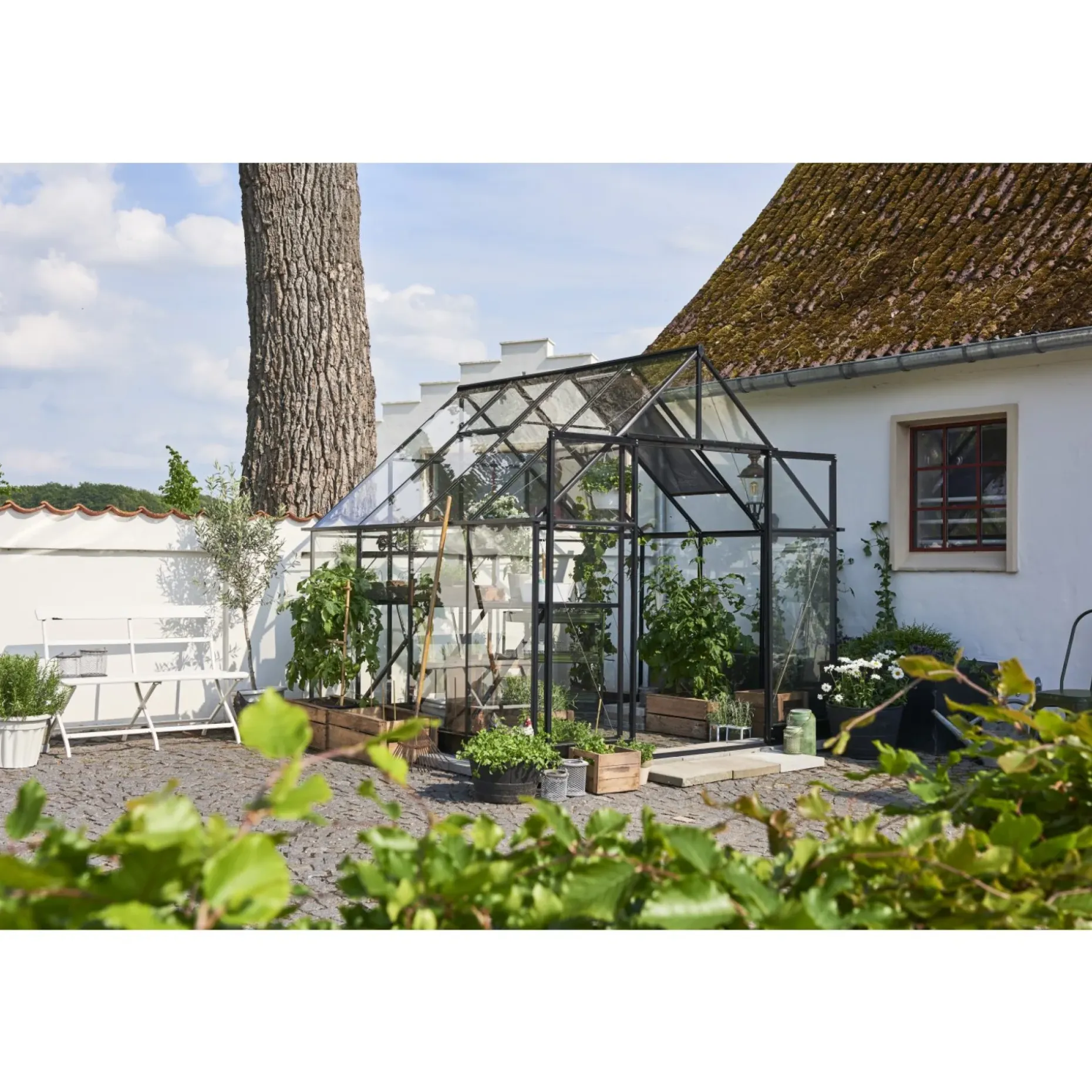 HALLS QUBE+ 88 DRIVHUS 3 MM HÆRDET GLAS HELE BANER SORT 6,6 M2