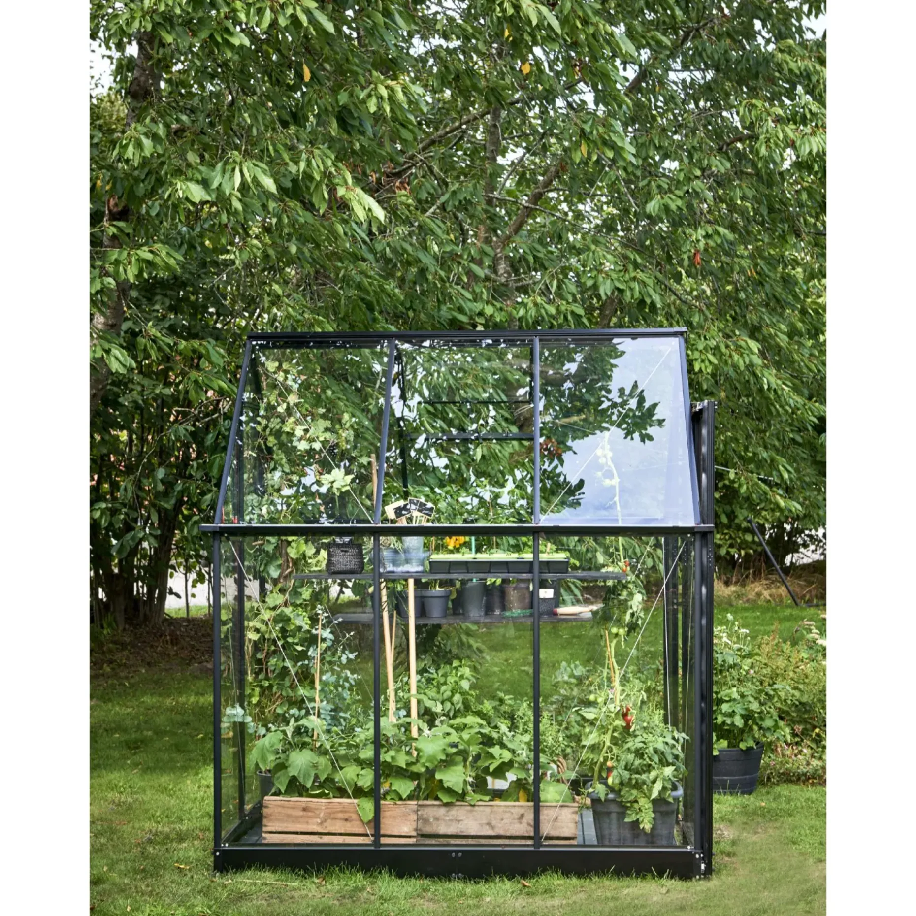 HALLS QUBE 66 DRIVHUS 3 MM HÆRDET GLAS HELE BANER SORT 3,9 M2