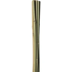 HOME IT GARDEN BAMBUSPINDE 120 CM