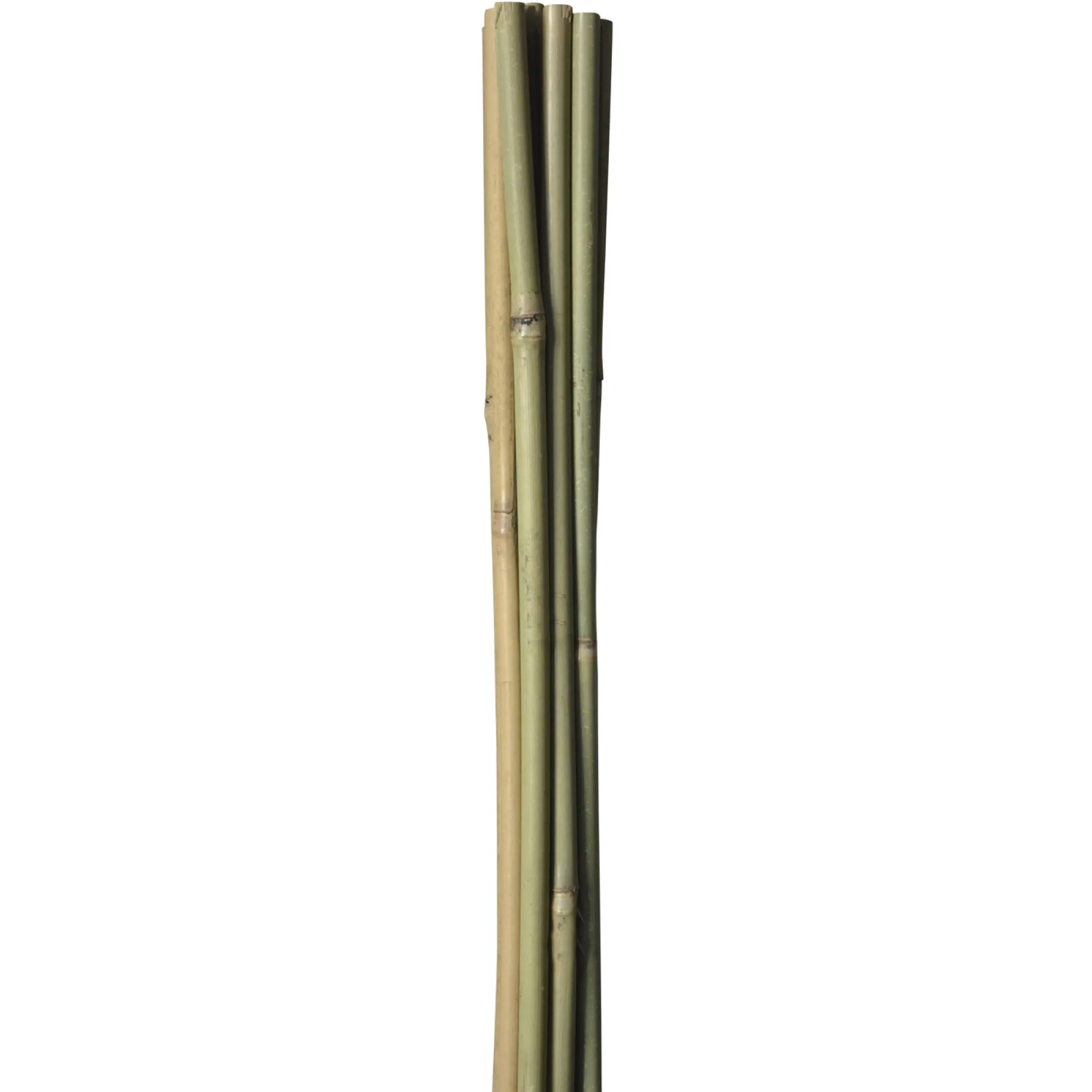 HOME IT GARDEN BAMBUSPINDE 120 CM