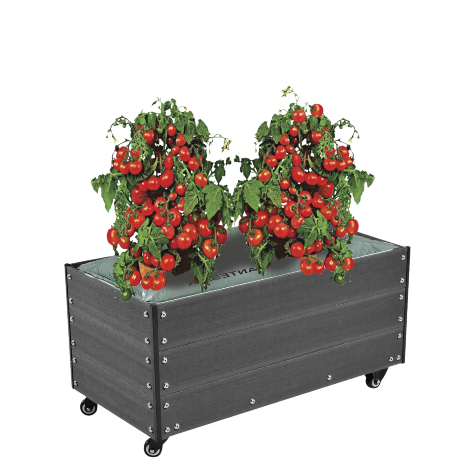 HORTUS 210-945 KAPILÆRKASSESKJULER ANTRACITGRÅ