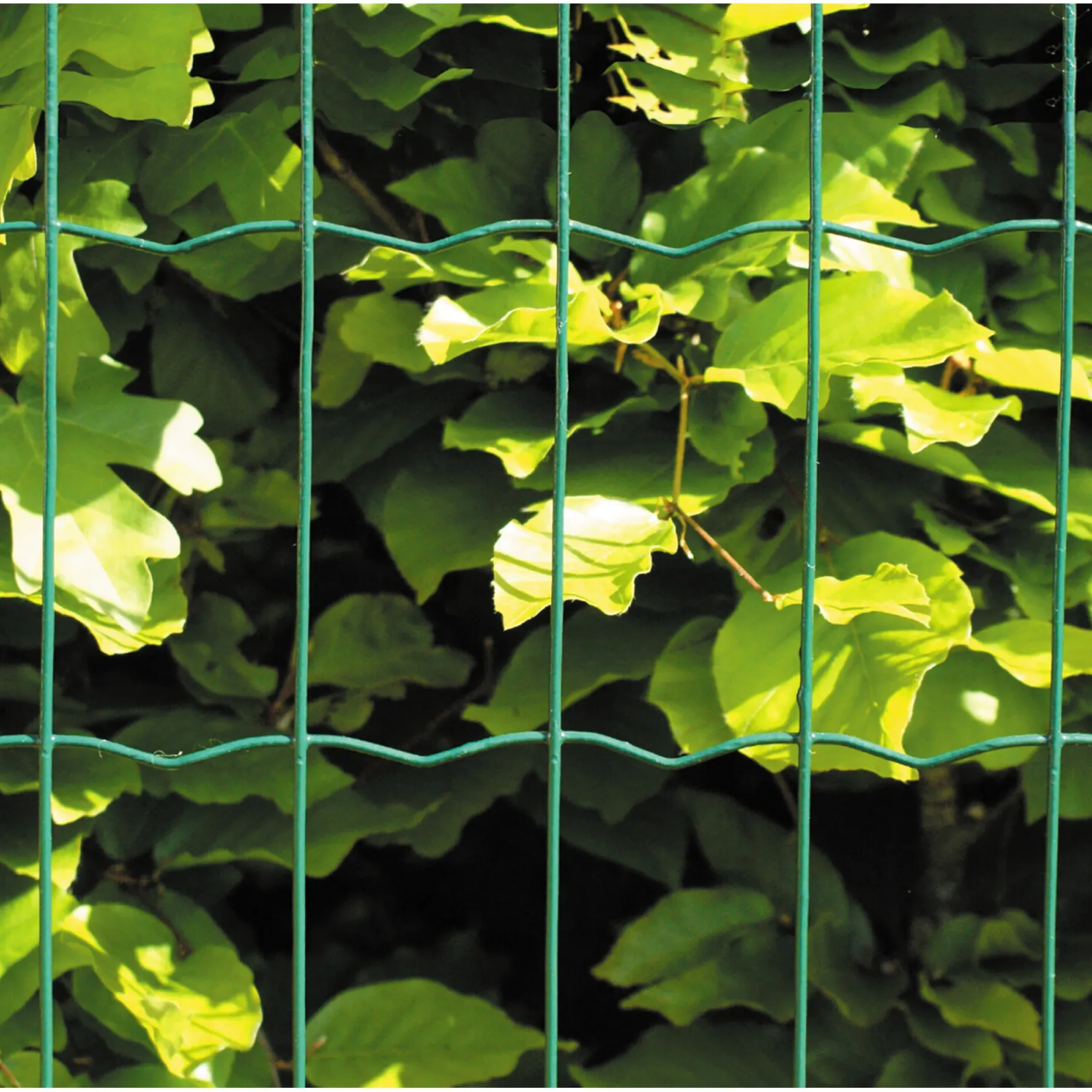 HORTUS HEGN GRØN PLASTBELAGT 0.60 X 25 M