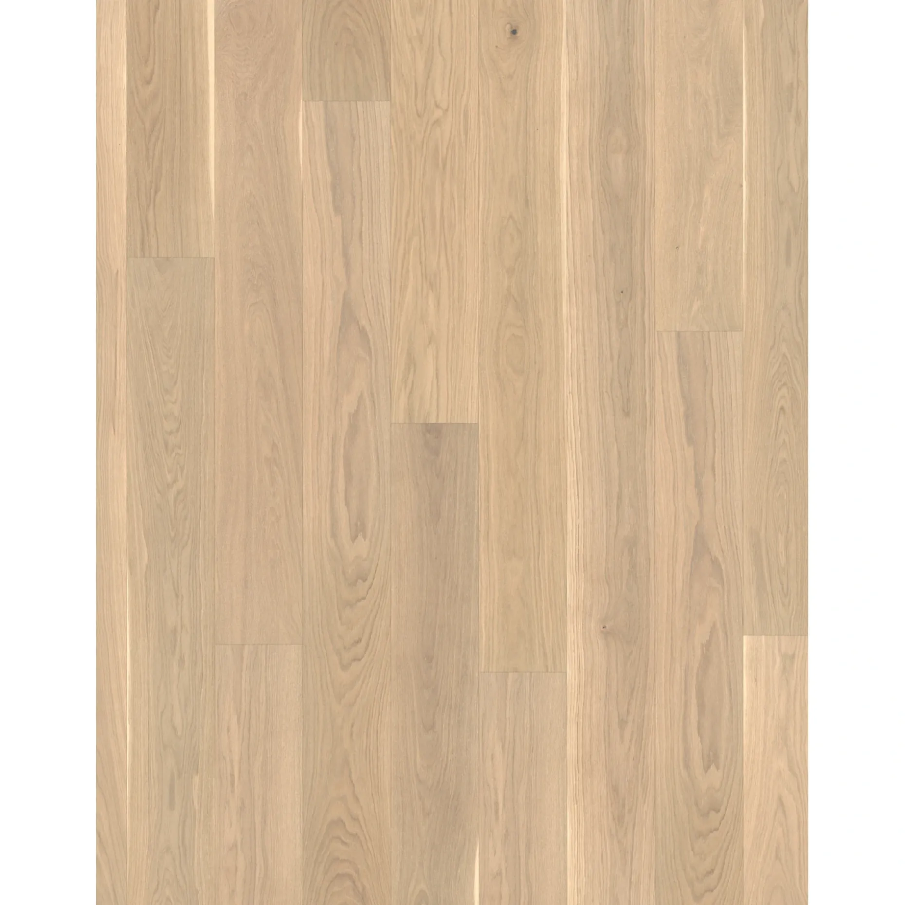 PARADOR CLASSIC 3060 LAMELPLANK PARKETGULV EG HVID MATLAK