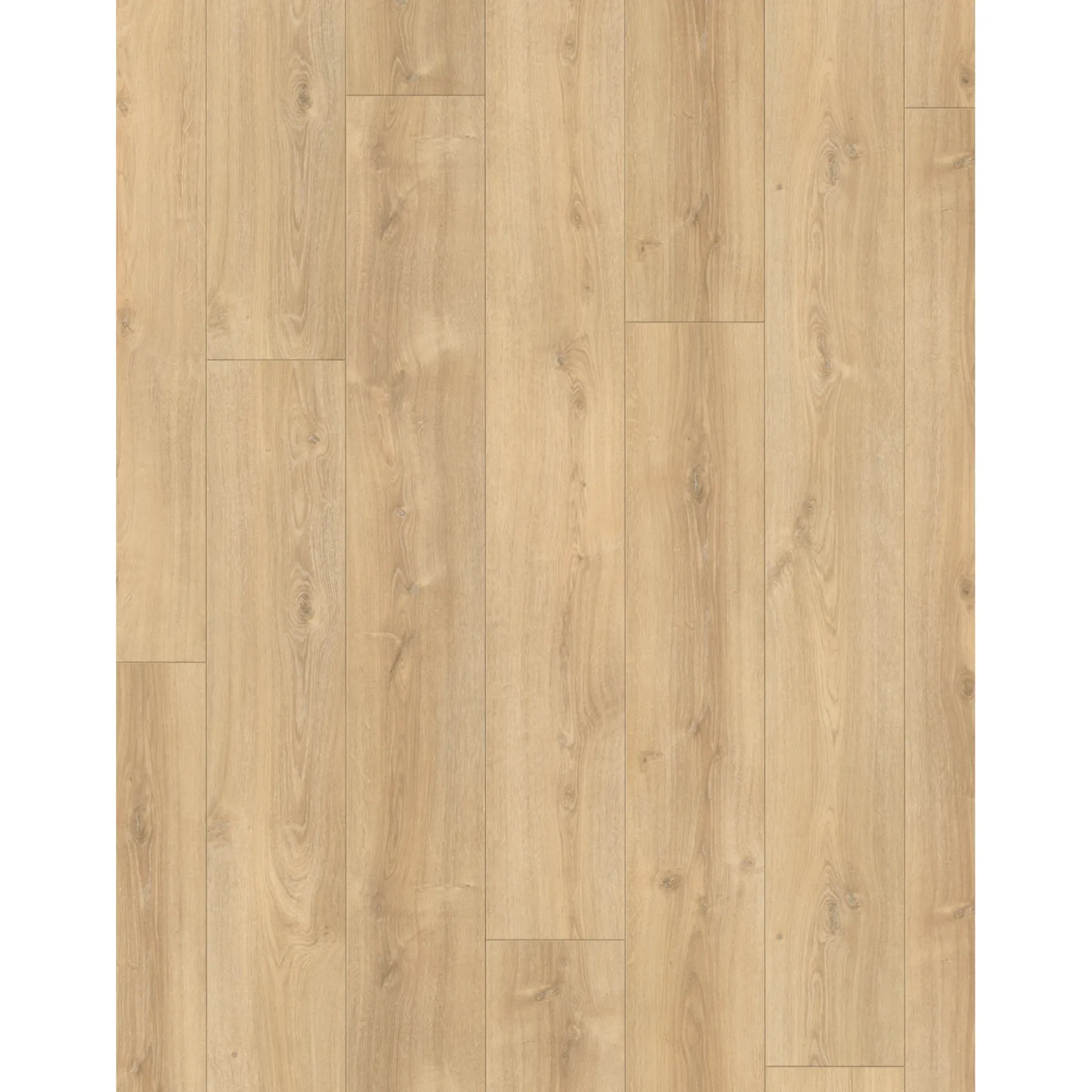 PARADOR TRENDTIME 6 LAMINATGULV EG NOVA LYS KALKET