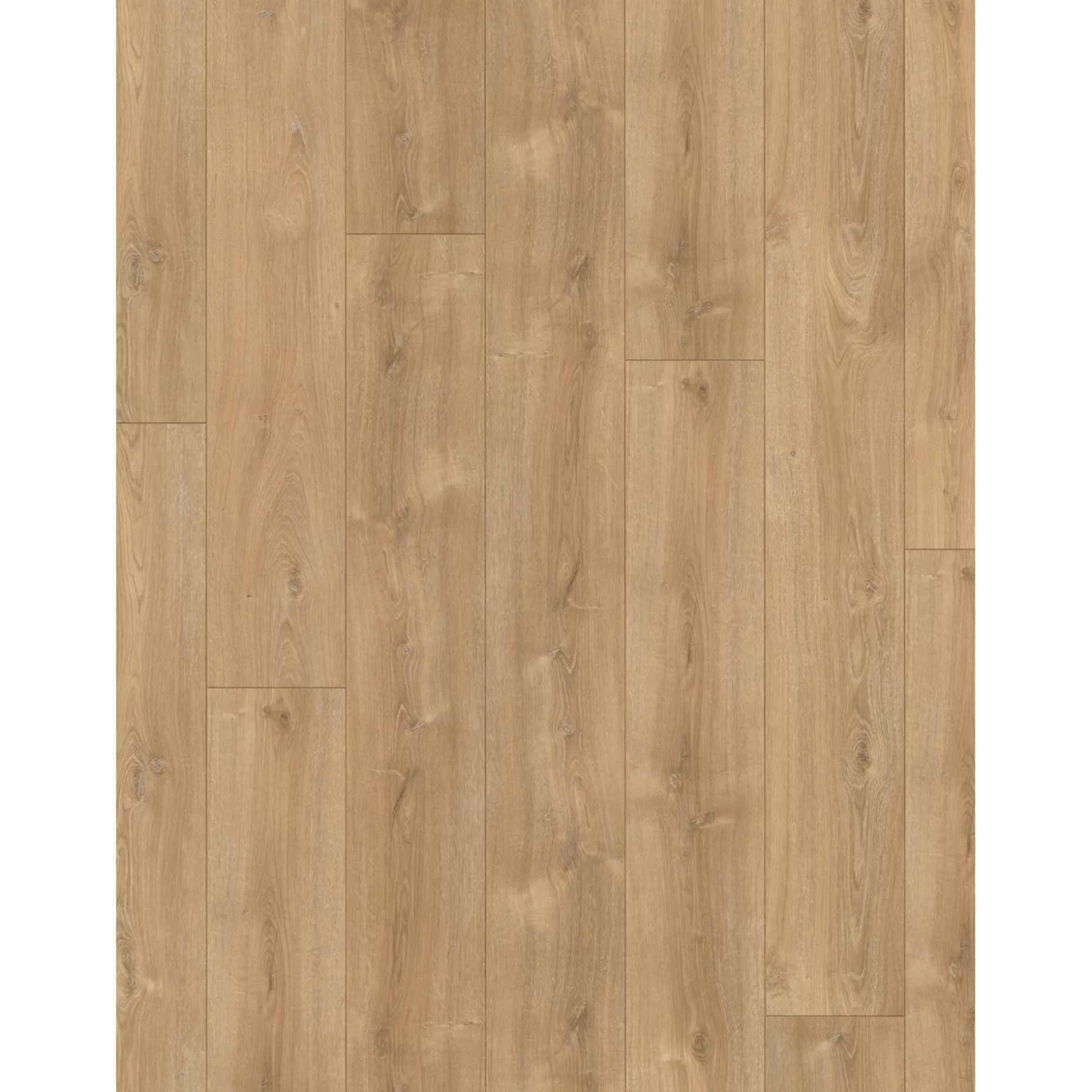 PARADOR TRENDTIME 6 LAMINATGULV EG NOVA KALKET