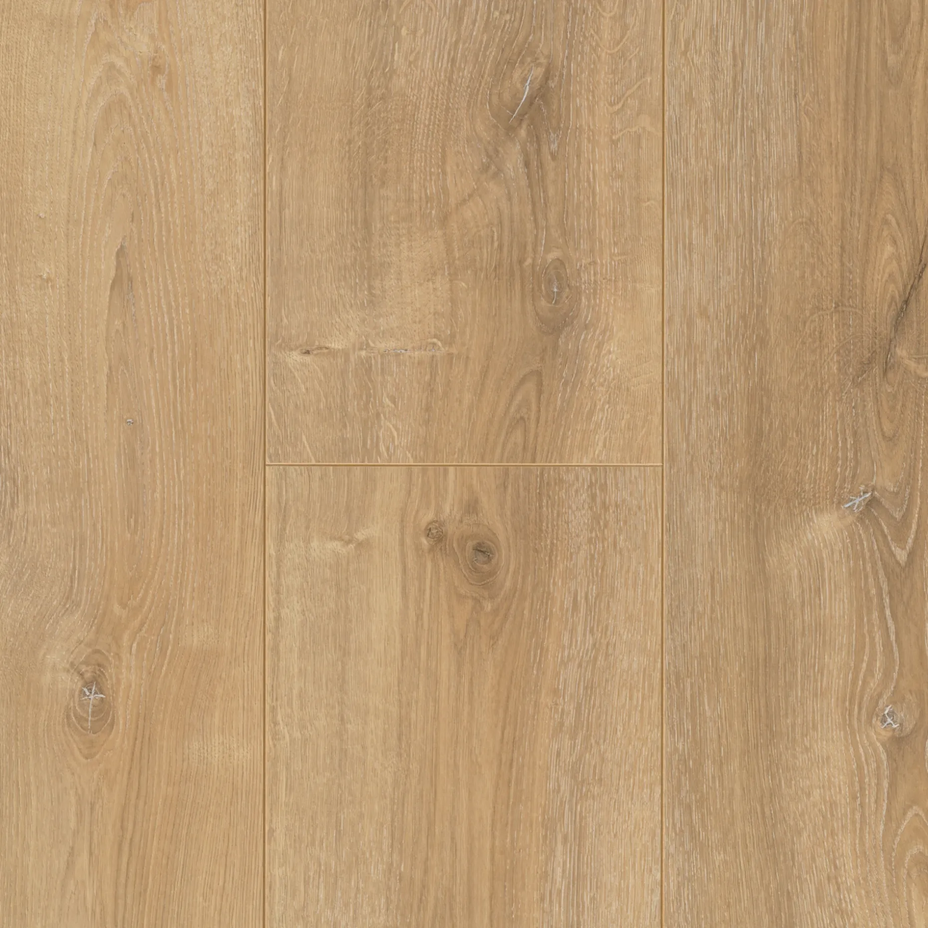 PARADOR TRENDTIME 6 LAMINATGULV EG NOVA KALKET