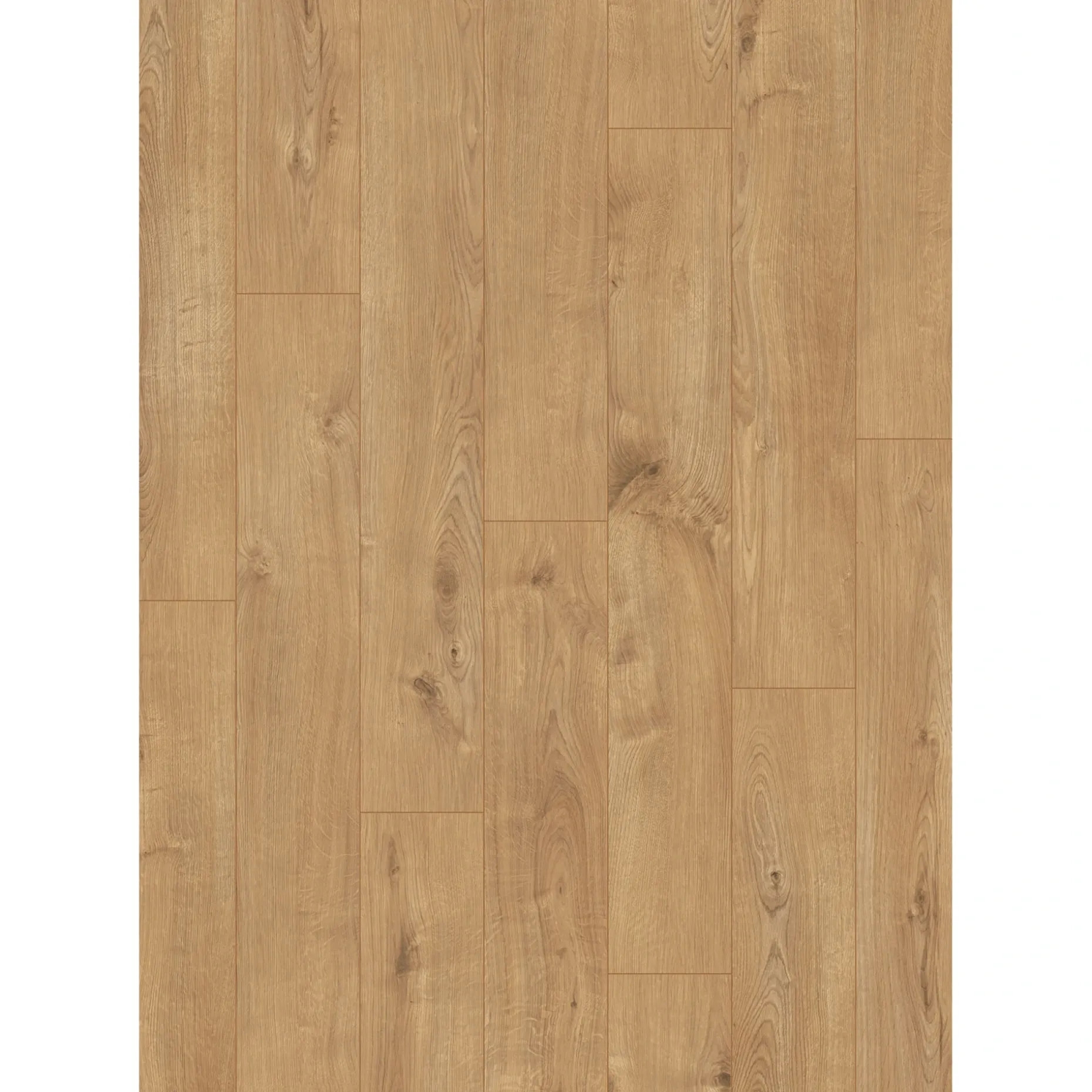 PARADOR URBAN CLICK-IN PLANK LAMINATGULV EG MUSE
