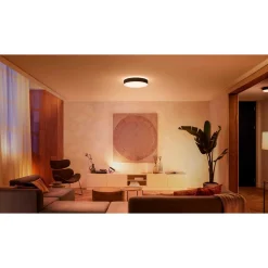 PHILIPS HUE WA ENRAVE L PLAFOND 34W SORT 476 MM