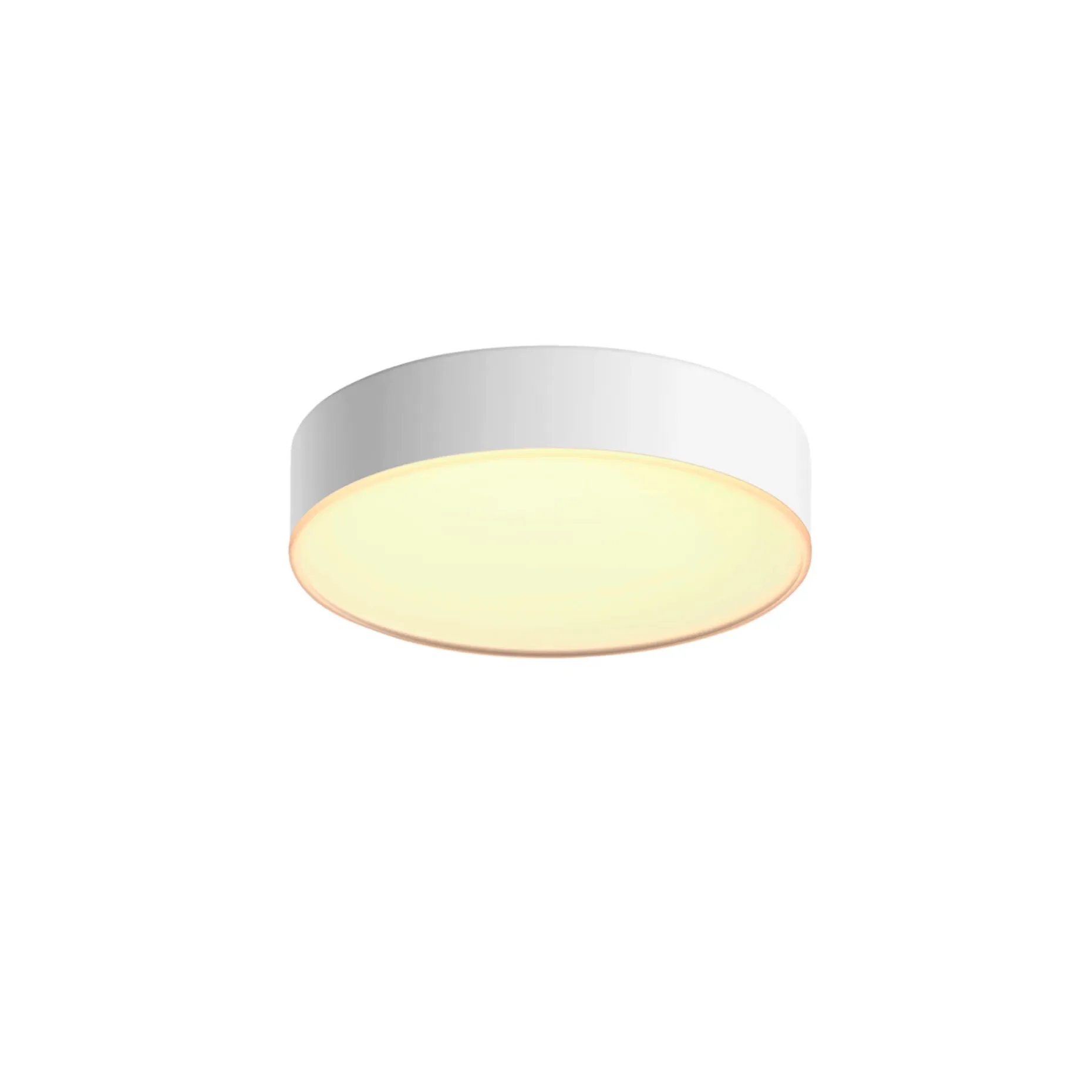 PHILIPS HUE WA ENRAVE S PLAFOND 10W HVID 318 MM