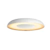 PHILIPS HUE WA STILL PLAFOND 23W HVID 39,1 CM