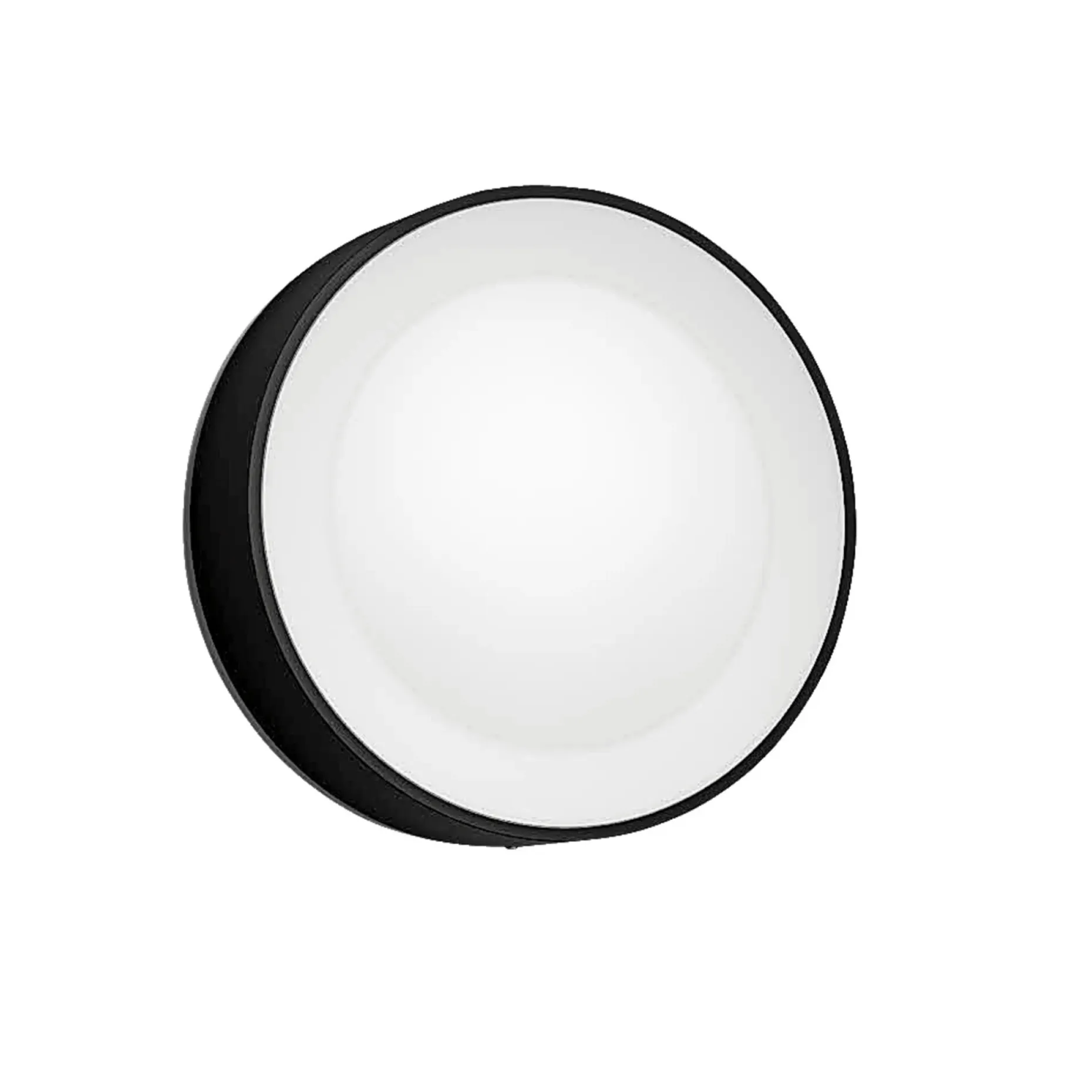 PHILIPS HUE WCA DAYLO UDENDØRS VÆGLAMPE 15W SORT
