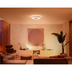 PHILIPS HUE WCA INFUSE PLAFOND 53W HVID 476 MM