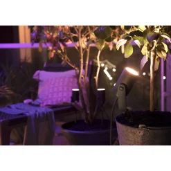 PHILIPS HUE WCA LILY BASIS SPOTLAMPE SORT INTEGRERET LED 8W