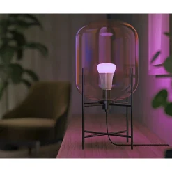 PHILIPS HUE WCA 2-PAK SMART LED PÆRE E27 STANDARD 9W