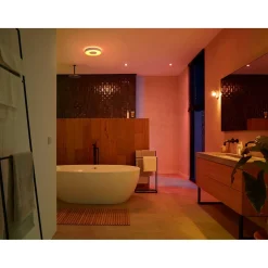 PHILIPS HUE WCA XAMENTO PLAFOND 34W HVID 437 MM