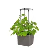 PINDSTRUP TIL SELVVANDENDE PLANTEKASSE ESPALIER SORT