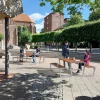 PLUS BORDBÆNKESÆT GYLDENBRUN