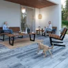 PLUS LOUNGESTOL GYLDENBRUN