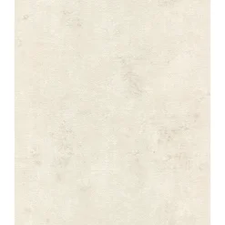 RASCH STUDIO 2027 BETONLOOK TAPET 0,53X10 M