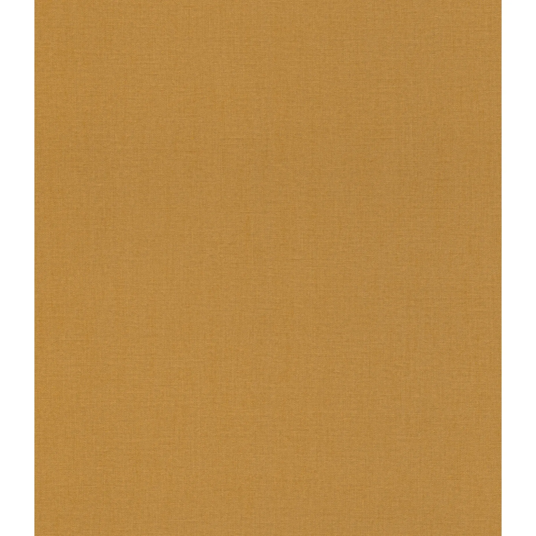 RASCH STUDIO 2027 ENSFARVET TAPET 0,53X10M