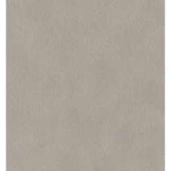 RASCH STUDIO 2027 GASELLE PELS TAPET 0,53X10 M