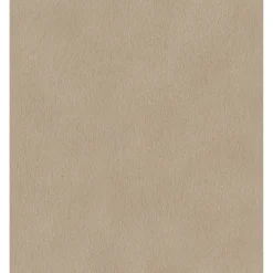 RASCH STUDIO 2027 GASELLE PELS TAPET 0,53X10 M