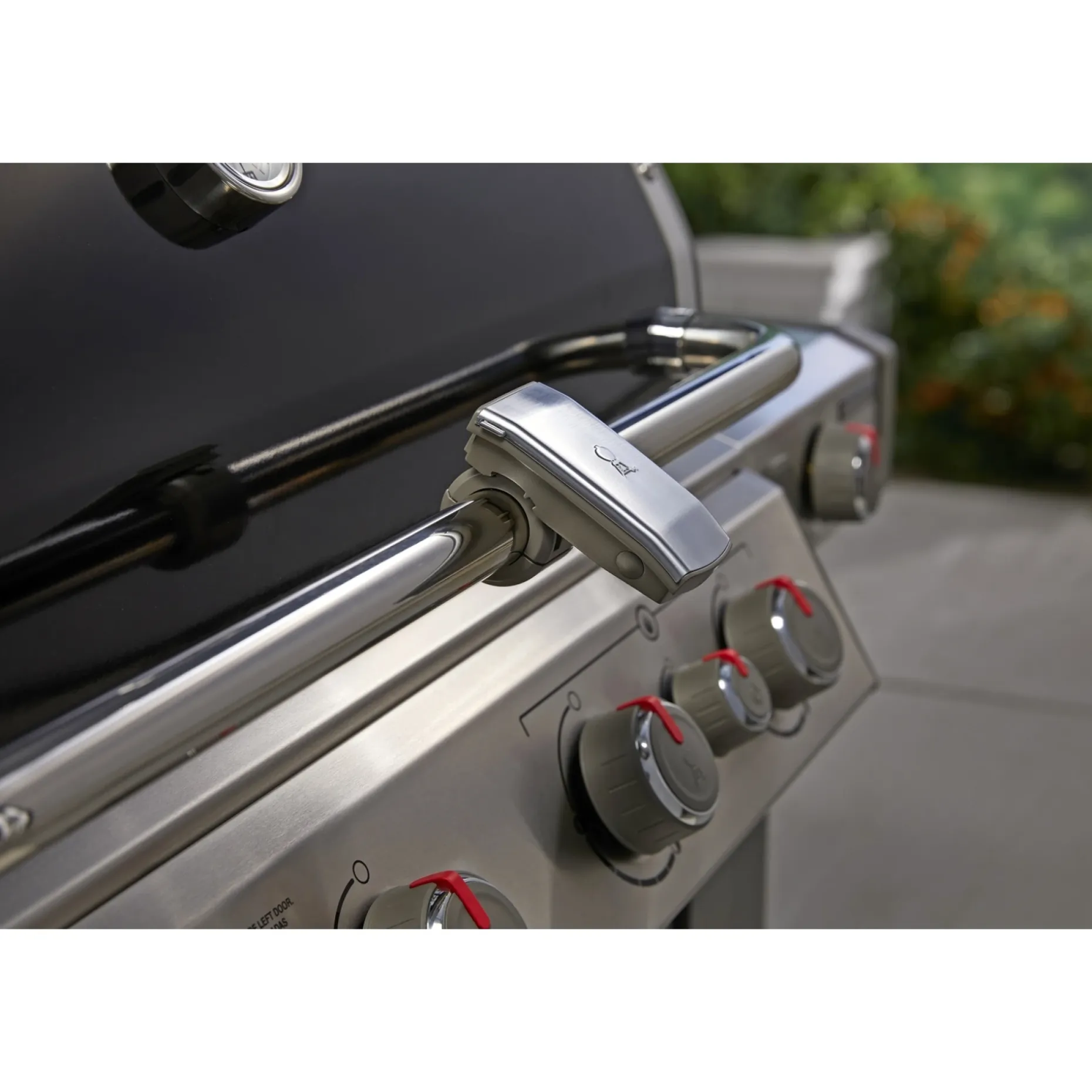 WEBER LYS